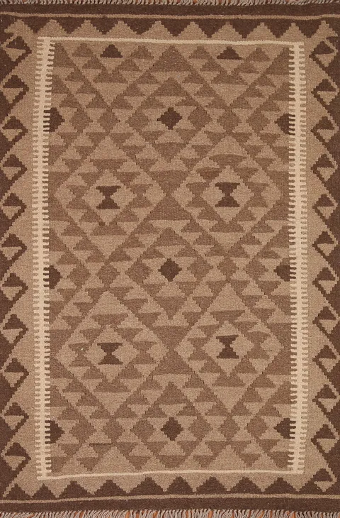 Reversible Kilim Oriental Wool Rug 3x5