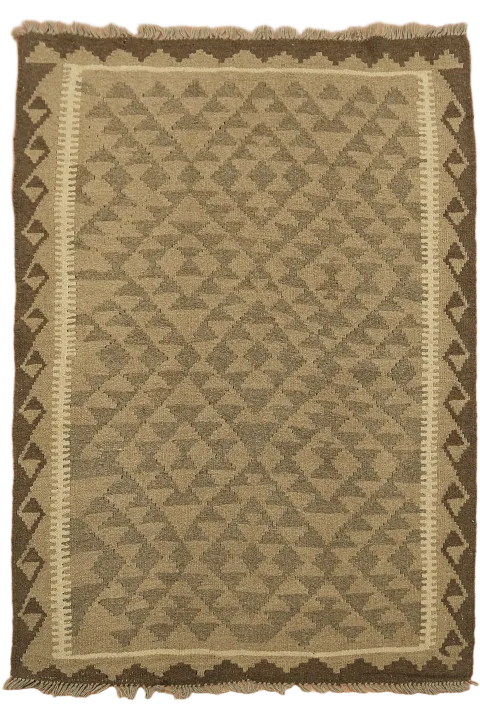 Reversible Wool Kilim Oriental Area Rug 4x5