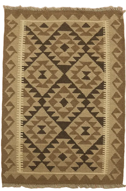 Reversible Wool Kilim Oriental Area Rug 3x5