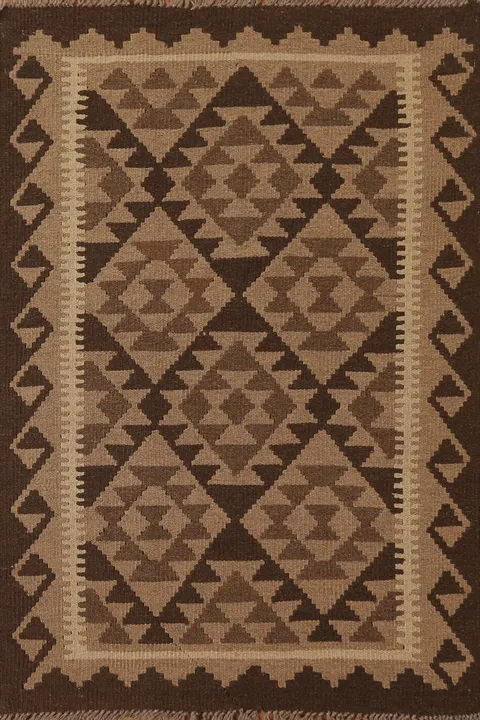 Reversible Wool Kilim Oriental Area Rug 3x5