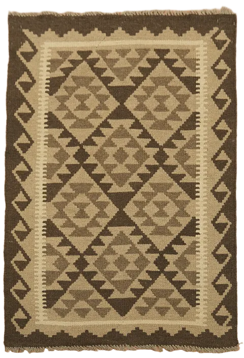 Hand-Woven Wool Kilim Oriental Rug 3x5