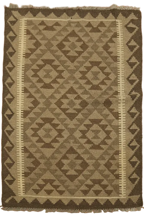 Reversible Kilim Oriental Area Rug 3x5