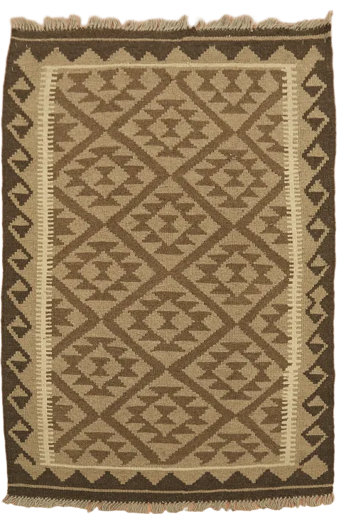 Reversible Wool Kilim Oriental Area Rug 3x5