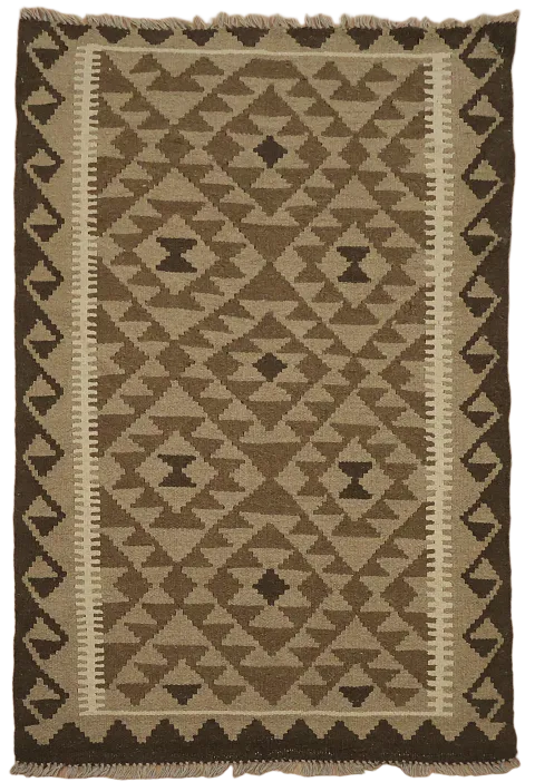 Geometric Kilim Oriental Area Rug 3x5