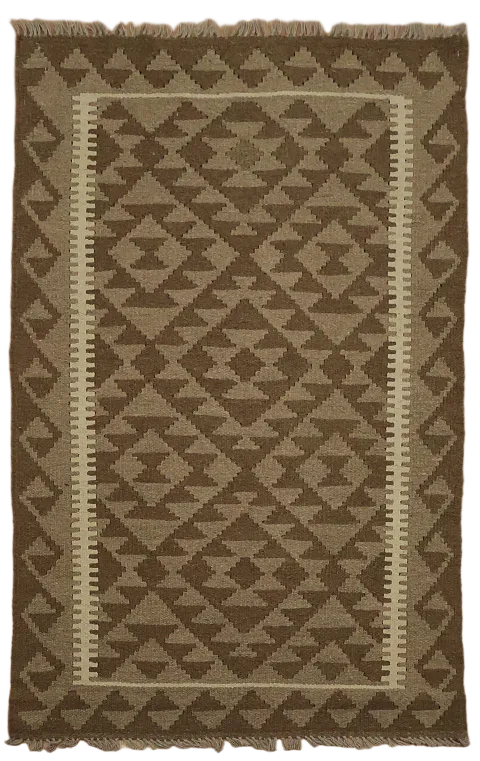 Reversible Kilim Oriental Area Rug 3x5