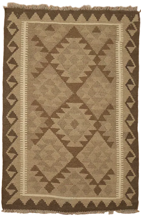 Reversible Kilim Oriental Area Rug 3x5
