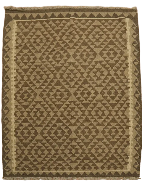 Reversible Kilim Oriental Area Rug 5x7