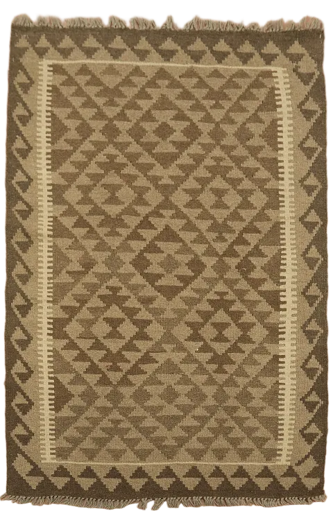 Reversible Wool Kilim Oriental Area Rug 3x5
