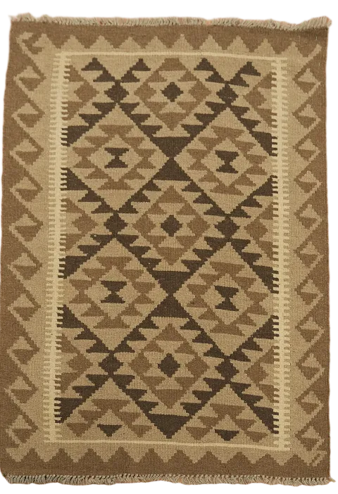Reversible Wool Kilim Oriental Area Rug 3x5