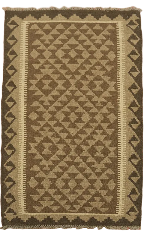 Reversible Kilim Oriental Area Rug 3x5