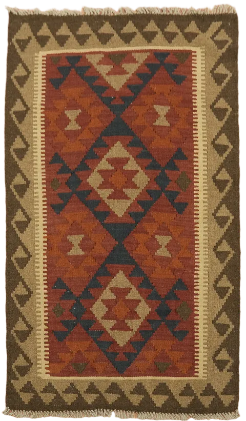 Reversible Kilim Oriental Area Rug 3x5