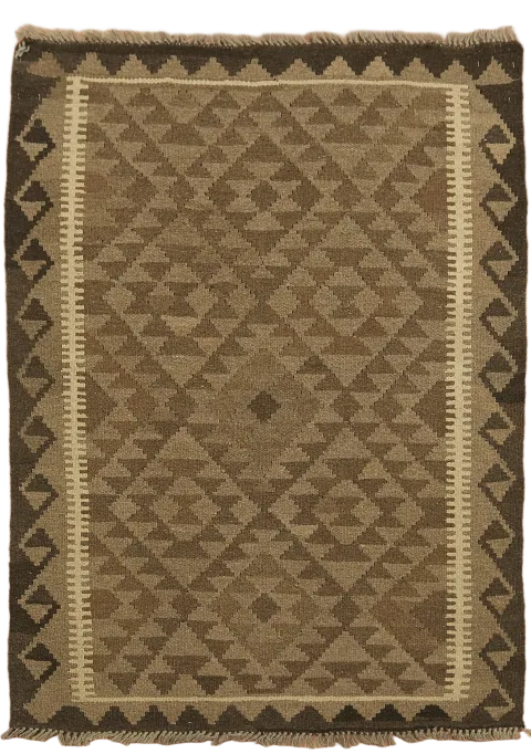 Reversible Kilim Oriental Area Rug 3x5