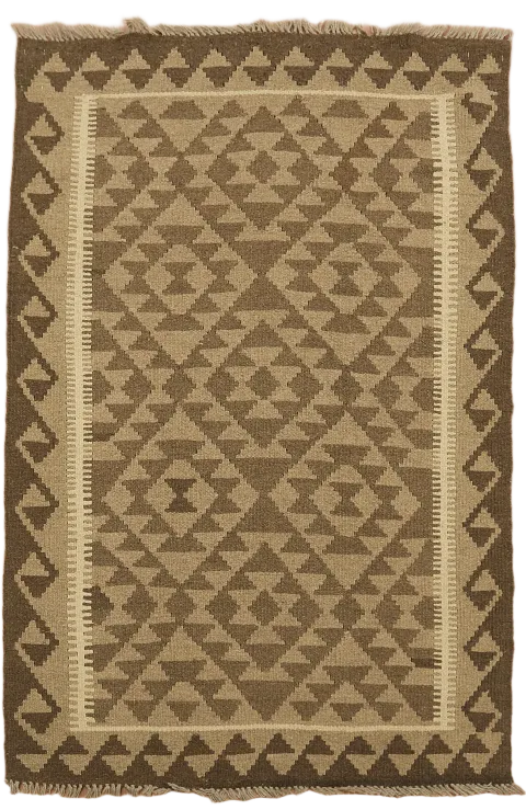 Hand-Woven Kilim Oriental Area Rug 3x5
