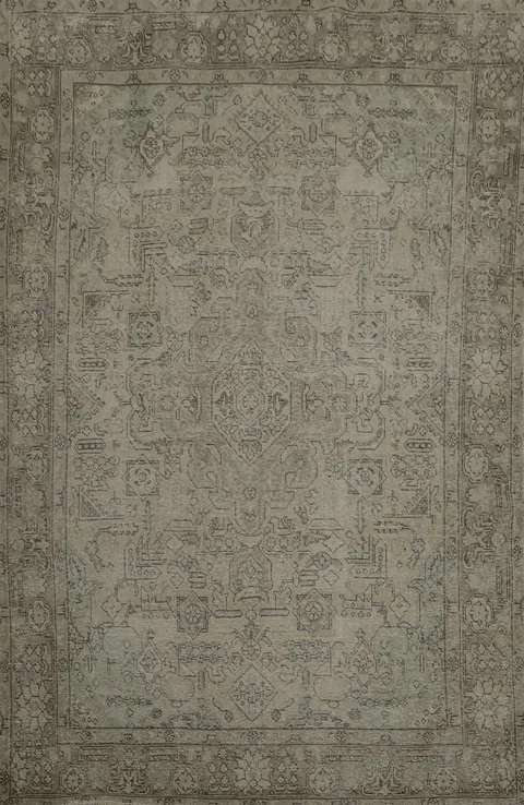 Antique Appeal: Persian Rug with Subtle Distressed Finish 6x9