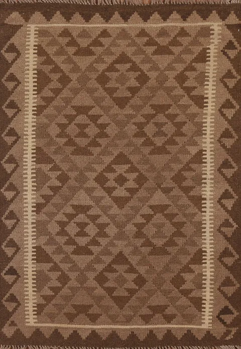 Reversible Kilim Oriental Area Rug 3x5
