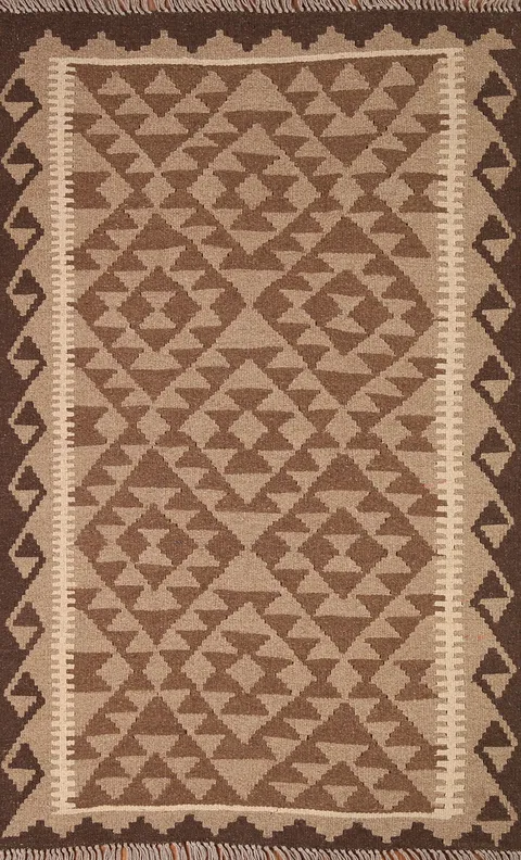 Reversible Wool Kilim Oriental Area Rug 3x5