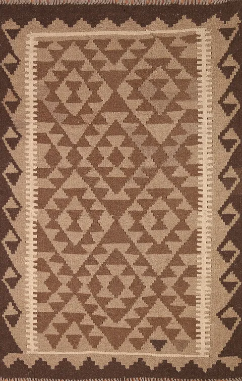 Reversible Wool Kilim Oriental Area Rug 3x5