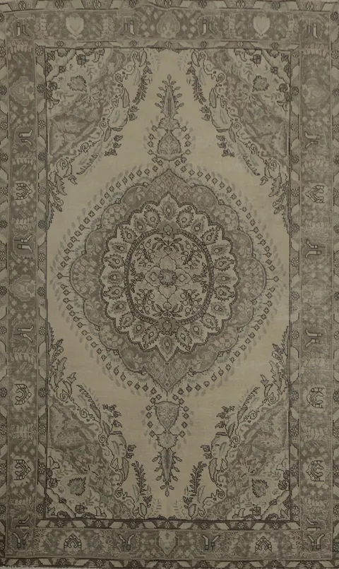 Classic Beige and Brown Rug with Traditional Eastern Design 6x10