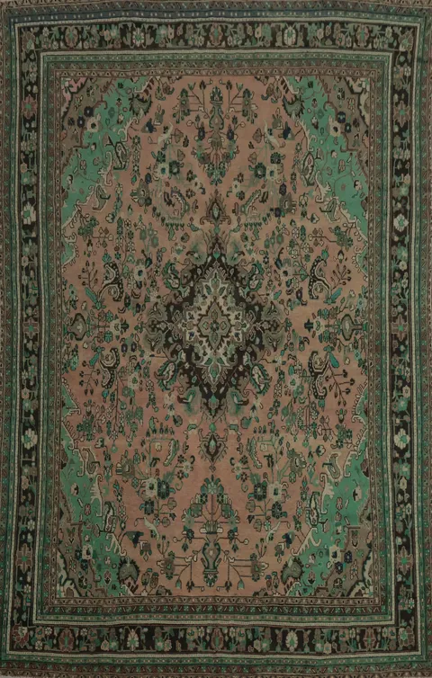 Traditional Pink & Turquoise Hamedan Persian Rug 10x13