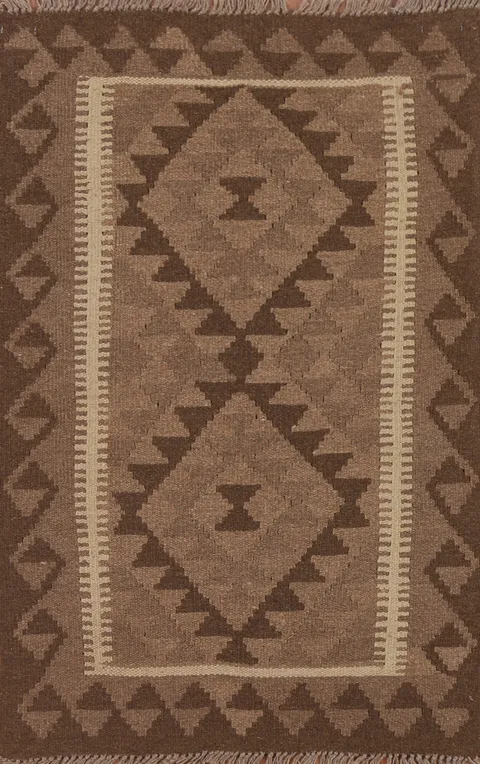 Reversible Kilim Oriental Area Rug 3x4