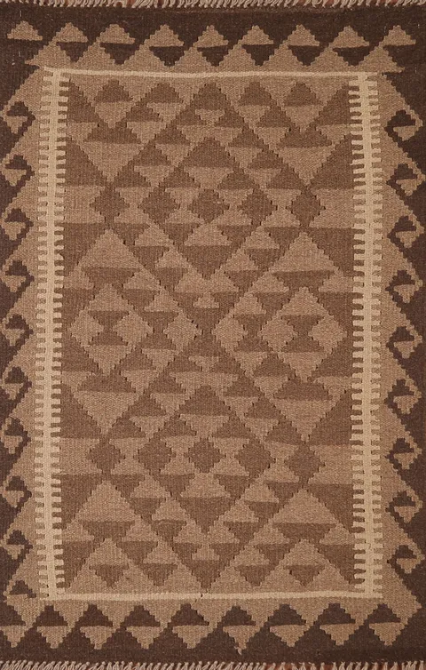 Reversible Wool Kilim Oriental Area Rug 3x4