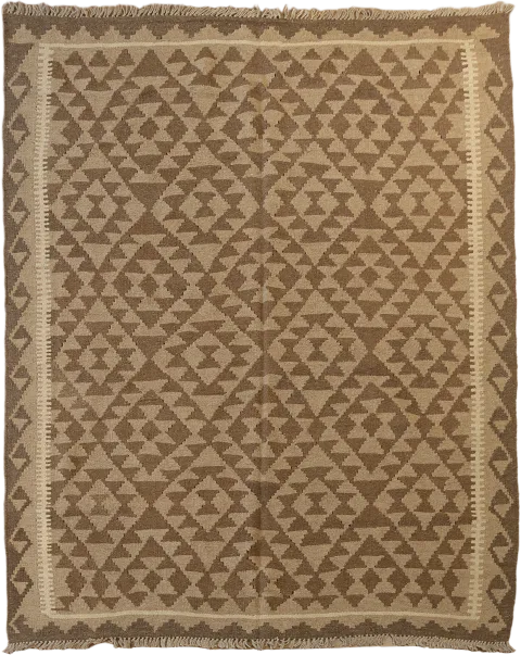 Reversible Wool Kilim Oriental Area Rug 5x7