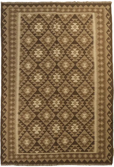 Reversible Wool Kilim Oriental Area Rug 5x8
