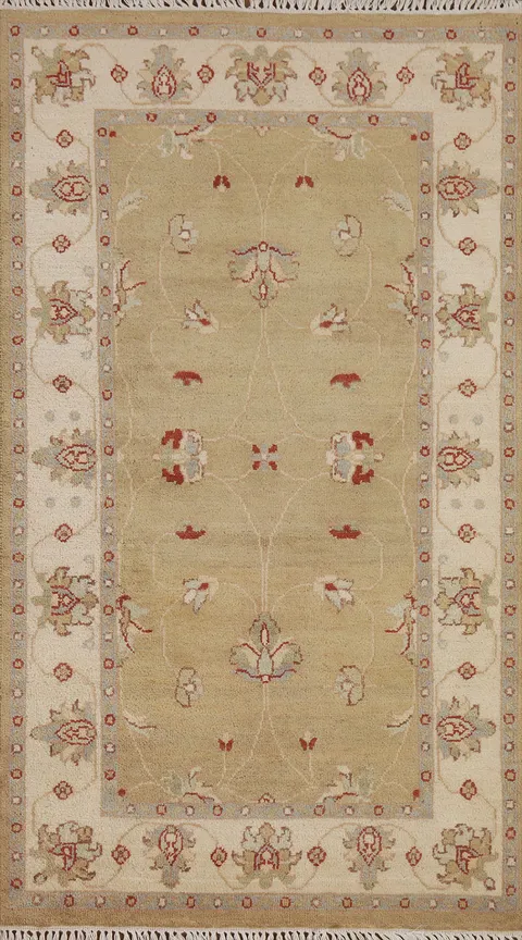 Floral Peshawar Chobi Oriental Area Rug 3x5