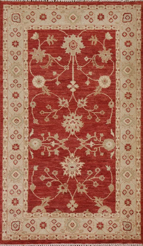 Floral Chobi Peshawar Oriental Area Rug 3x5