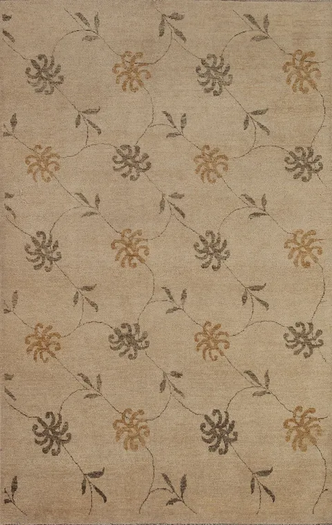 Light Brown Gabbeh Kashkoli Oriental Area Rug 4x6