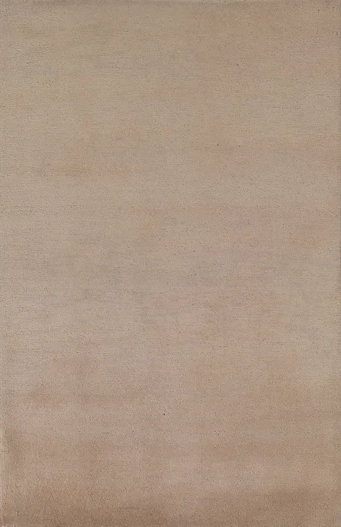 Solid Gabbeh Kashkoli Oriental Area Rug 4x6