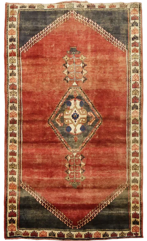 Geometric Shiraz Persian Area Rug 4x6