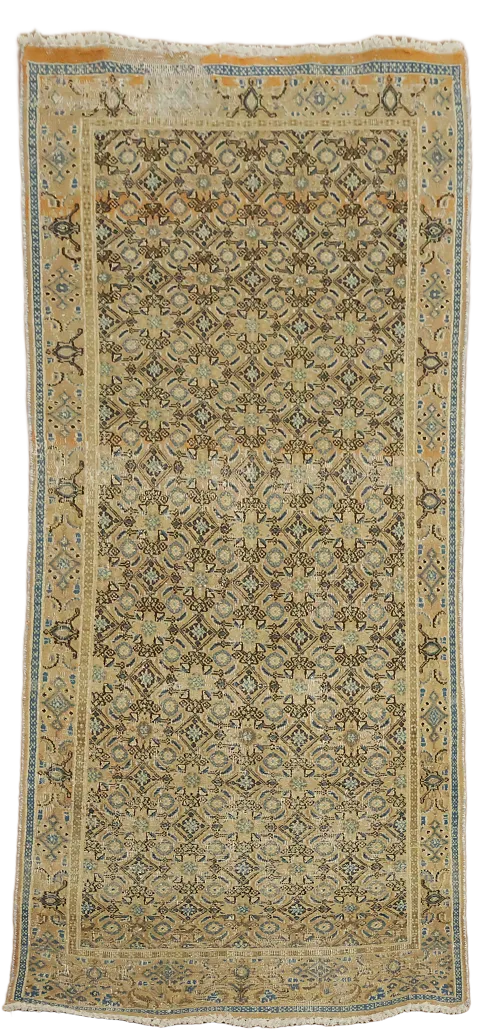 All-Over Mahal Persian Area Rug 3x6