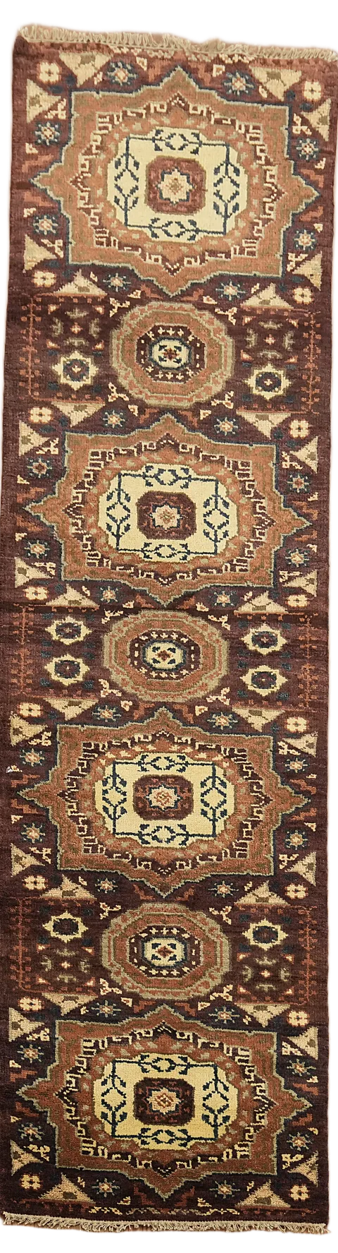 Vintage-Inspired Runner Rug with Unique Southwestern Design 3x10 ft