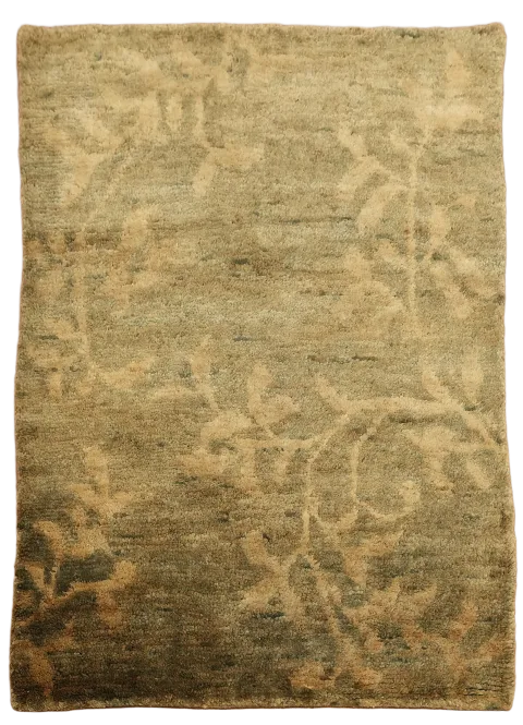 Floral Abstract Oriental Area Rug 5x7