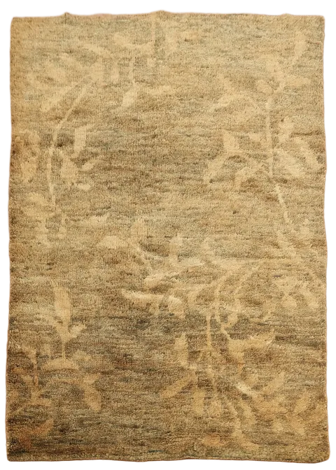 Floral Abstract Oriental Area Rug 5x7