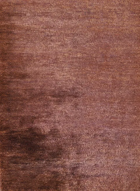 Modern Oriental Area Rug  4x6