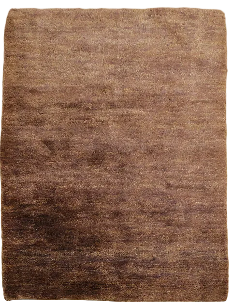Modern Oriental Area Rug  4x6