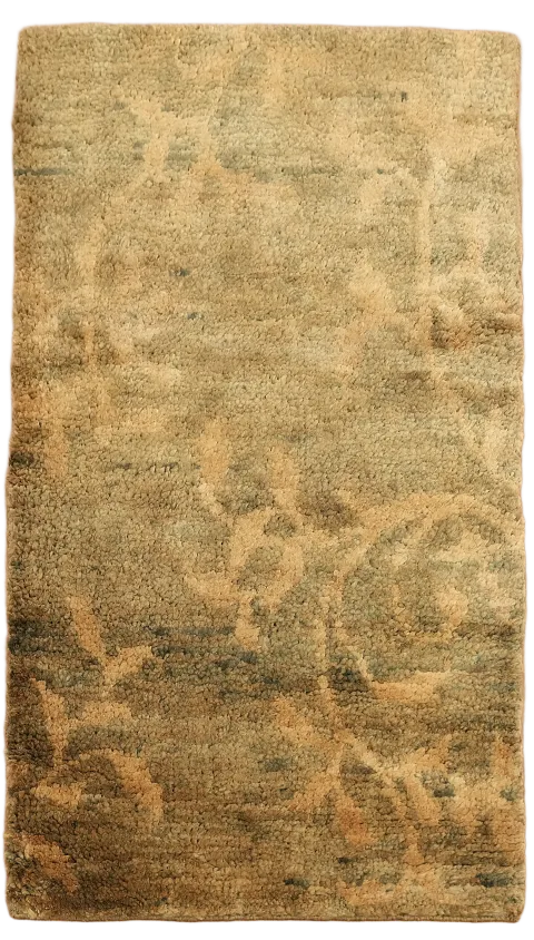 Brown Gold Moroccan Oriental Area Rug 3x5