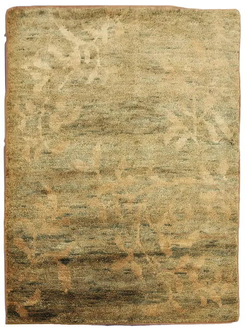 Floral Abstract Oriental Area Rug 5x7