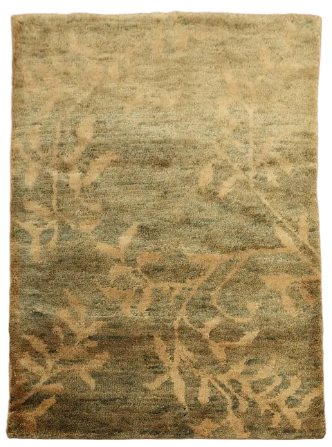 Floral Abstract Oriental Area Rug 5x7