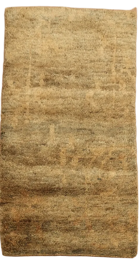 Abstract Oriental Area Rug 3x5