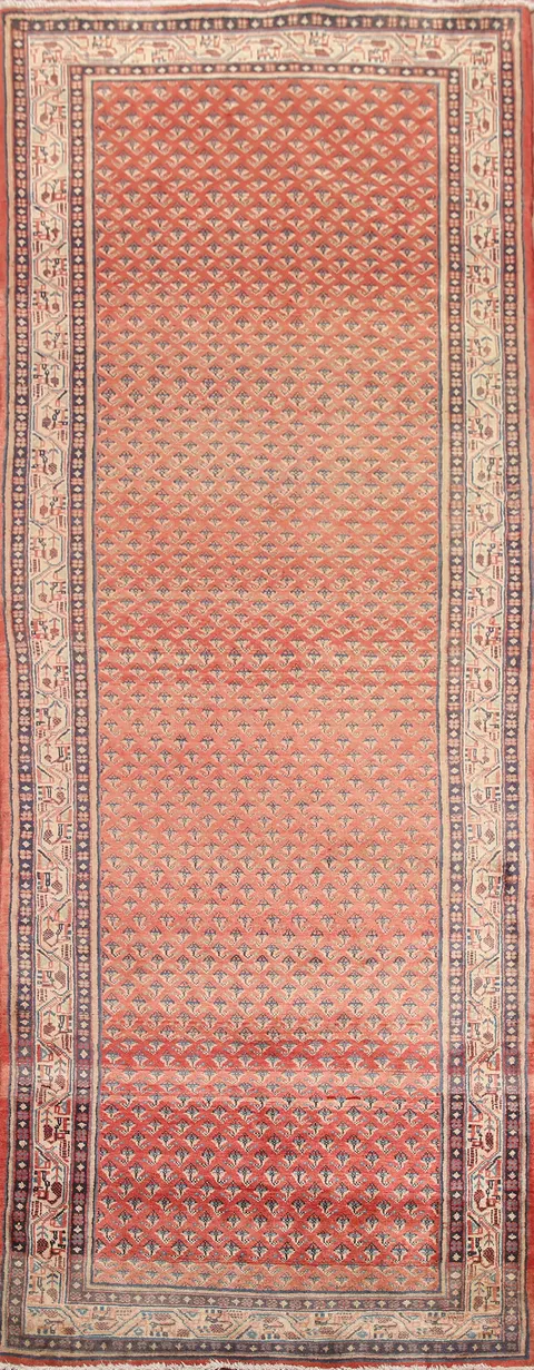 All-Over Botemir Persian Runner Rug 4x10