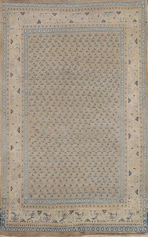 All-Over Botemir Persian Area Rug 5x6