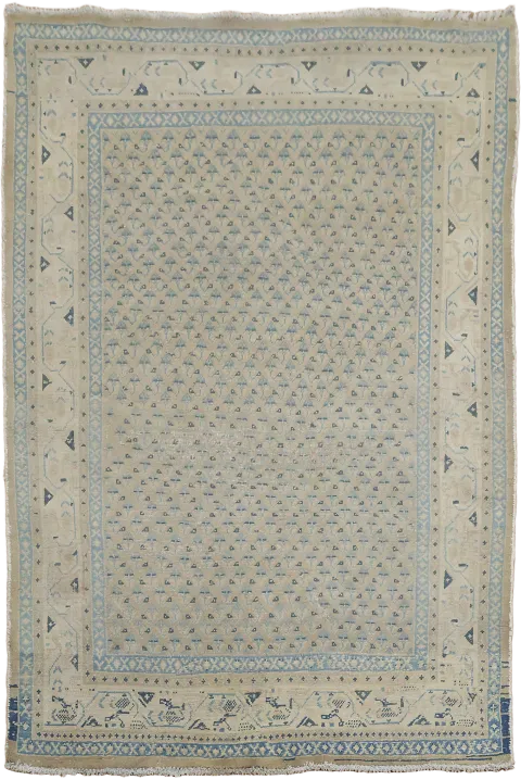 All-Over Botemir Persian Area Rug 4x6