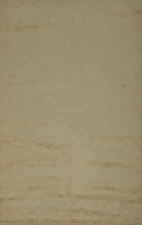Soft Moroccan Trellis Area Rug 5x8 to Elevate Any Room Aesthetic