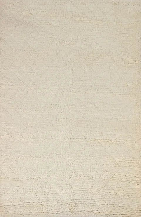 All-Over Plush Moroccan Indian Area Rug 5x8