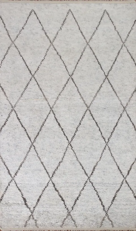 Plush Trellis Moroccan Indian Area Rug 5x8
