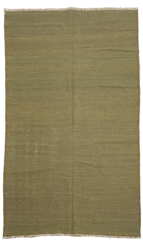 Reversible Wool Kilim Oriental Area Rug 5x8