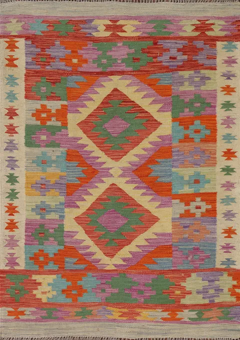 South Western Kilim Oriental Rug 3x5